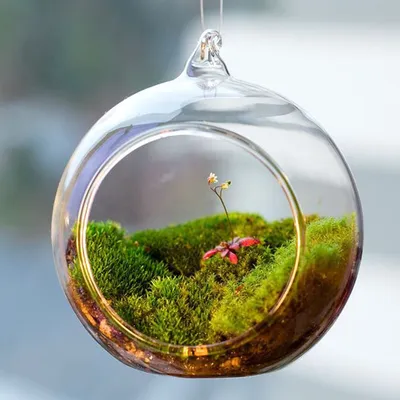 Hanging Terrarium Glass Garden Ornament Hanging Terrarium Glass Garden Ornament