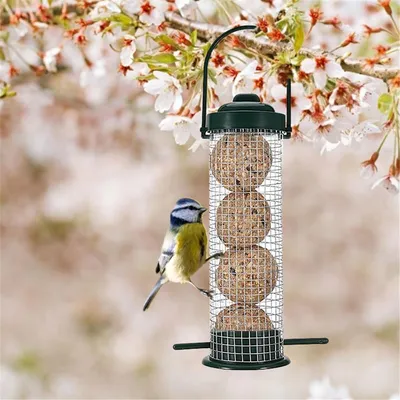 Hanging Wire Mesh Bird Feeder Hanging Wire Mesh Bird Feeder
