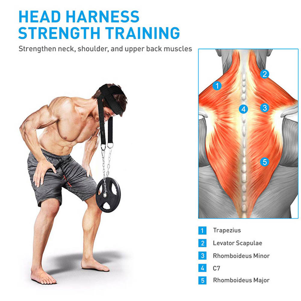 Head Neck Training Head Harness Body Strengh Exercise Strap Adjustable Neck Power Training Gym Fitness Weight Bearing