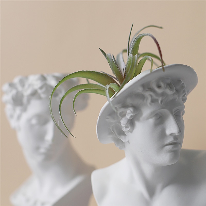 Head Planter Pot Greek-inspired Design Head Planter Pot Greek-inspired Design
