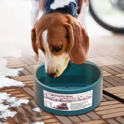 Heated Dog Water Bowl Electric Device Heated Dog Water Bowl Electric Device
