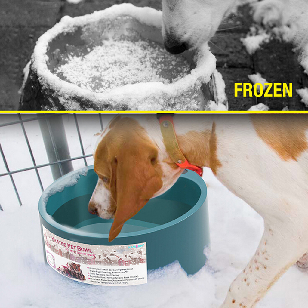 Heated Water Bowl for Dogs and Cats Heated Water Bowl for Dogs and Cats