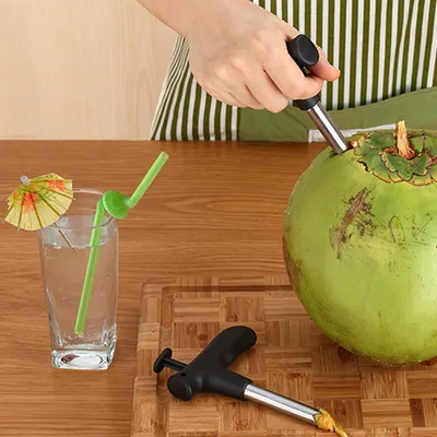 Heavy Duty Coconut Hole Puncher