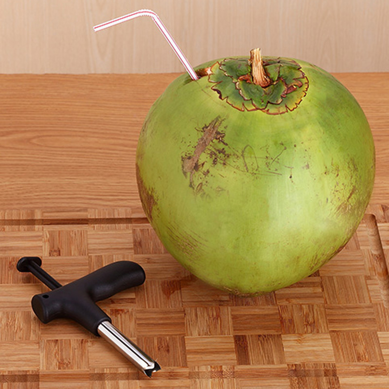Heavy Duty Coconut Hole Puncher