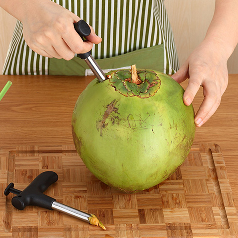 Heavy Duty Coconut Hole Puncher