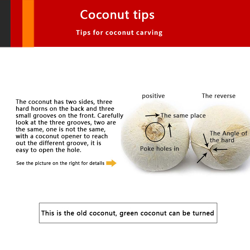 Heavy Duty Coconut Hole Puncher