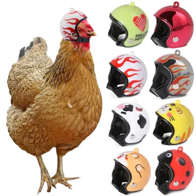 Helmet for Chicken Pet Protective Accessory Helmet for Chicken Pet Protective Accessory