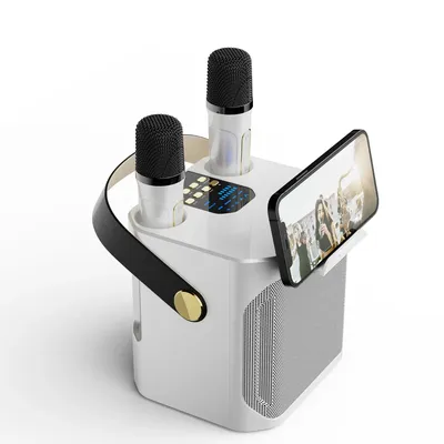 High Power Karaoke Bluetooth Speaker Portable 360 Stereo Surround Waterproof Wireless Subwoofer with Dual Microphone High Power Karaoke Bluetooth Speaker Portable 360 Stereo Surround Waterproof Wireless Subwoofer with Dual Microphone