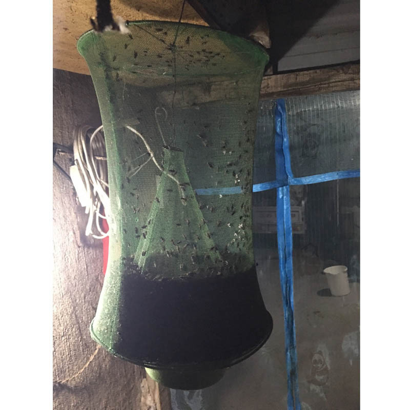 House Fly Trap Reusable Hanging Net