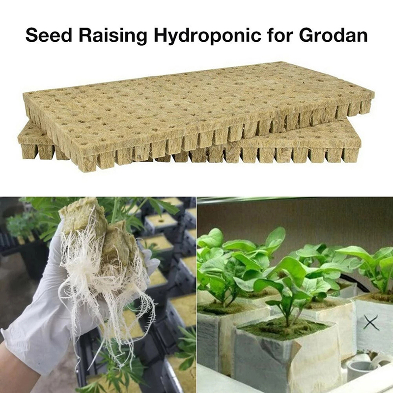 Hydroponic Planting Cubes (50 pcs) Hydroponic Planting Cubes (50 pcs)