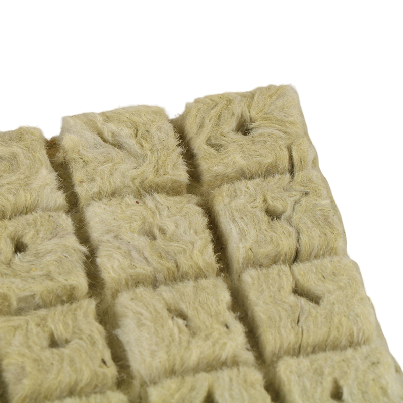Hydroponic Planting Cubes (50 pcs) Hydroponic Planting Cubes (50 pcs)