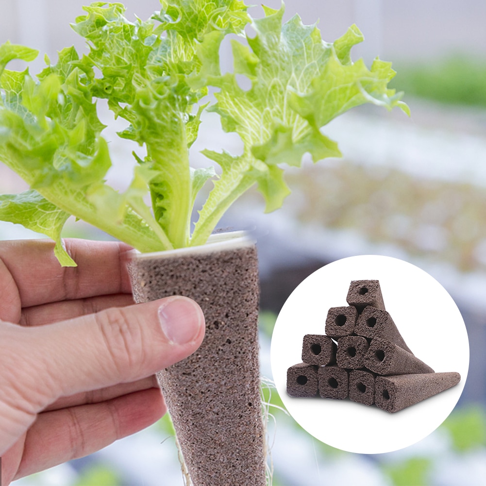 Hydroponic Planting Sponge (50 pcs)