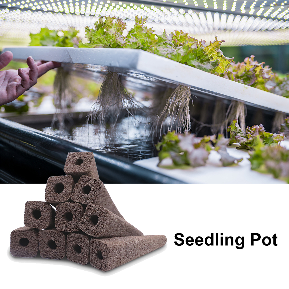 Hydroponic Planting Sponge (50 pcs)