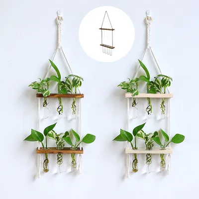 Hydroponic Test Tube Wall Vase Hydroponic Test Tube Wall Vase