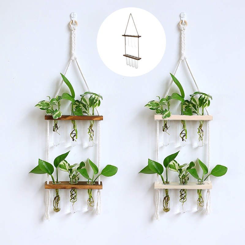 Hydroponic Test Tube Wall Vase