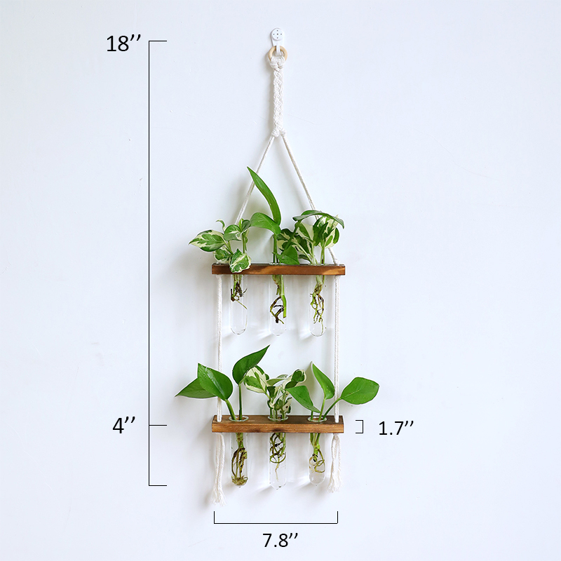 Hydroponic Test Tube Wall Vase Hydroponic Test Tube Wall Vase