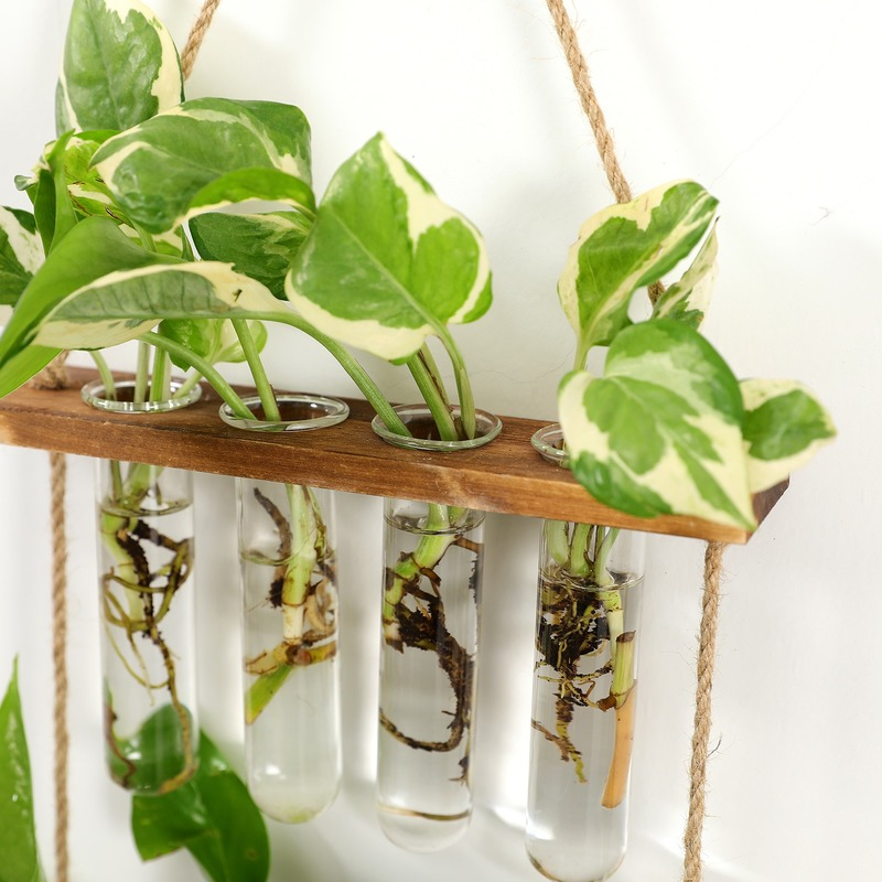 Hydroponic Test Tube Wall Vase Hydroponic Test Tube Wall Vase