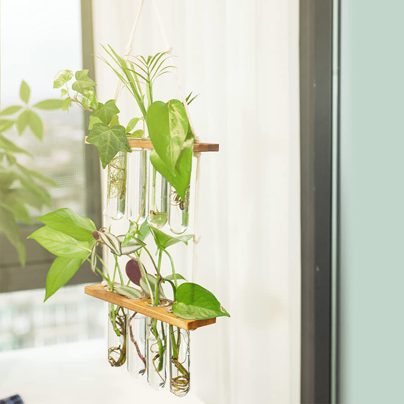 Hydroponic Test Tube Wall Vase Hydroponic Test Tube Wall Vase