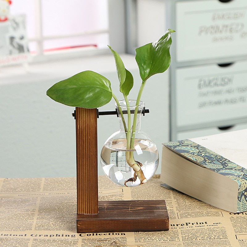 Hydroponic Vase Plant Terrarium