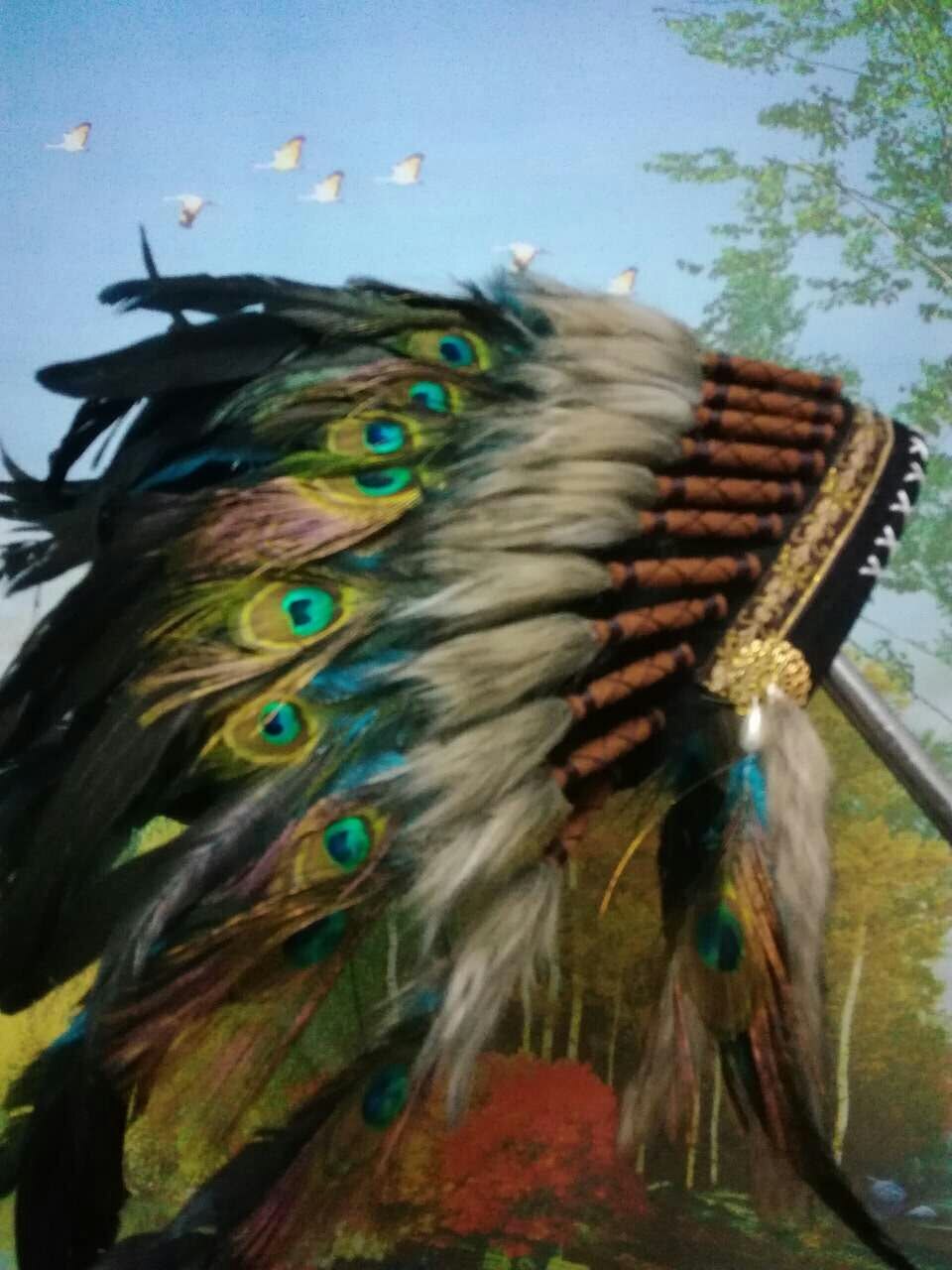 Indian Feather Headdress Costume Indian Feather Headdress Costume