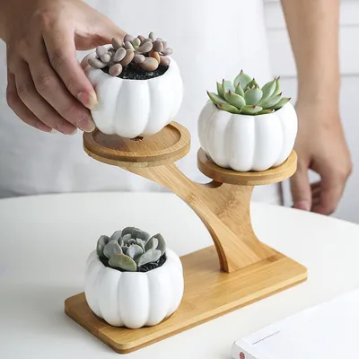 Indoor Ceramic Plant Pot 3-Tier with Stand
