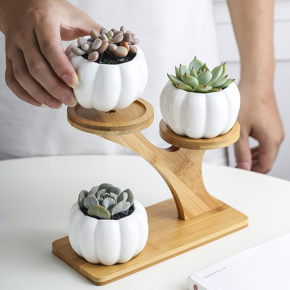 Indoor Ceramic Plant Pot 3-Tier with Stand Indoor Ceramic Plant Pot 3-Tier with Stand