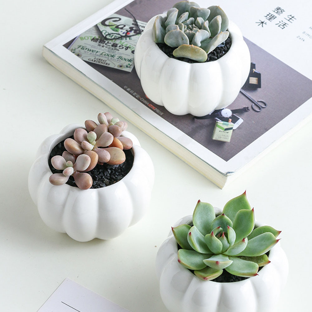Indoor Ceramic Plant Pot 3-Tier with Stand
