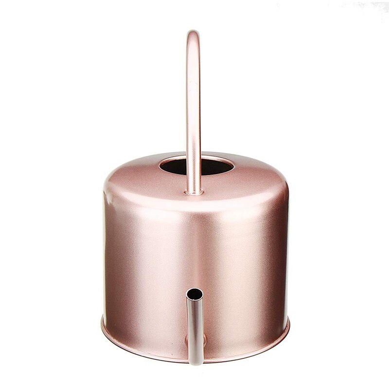 Indoor Watering Can Metal Water Can