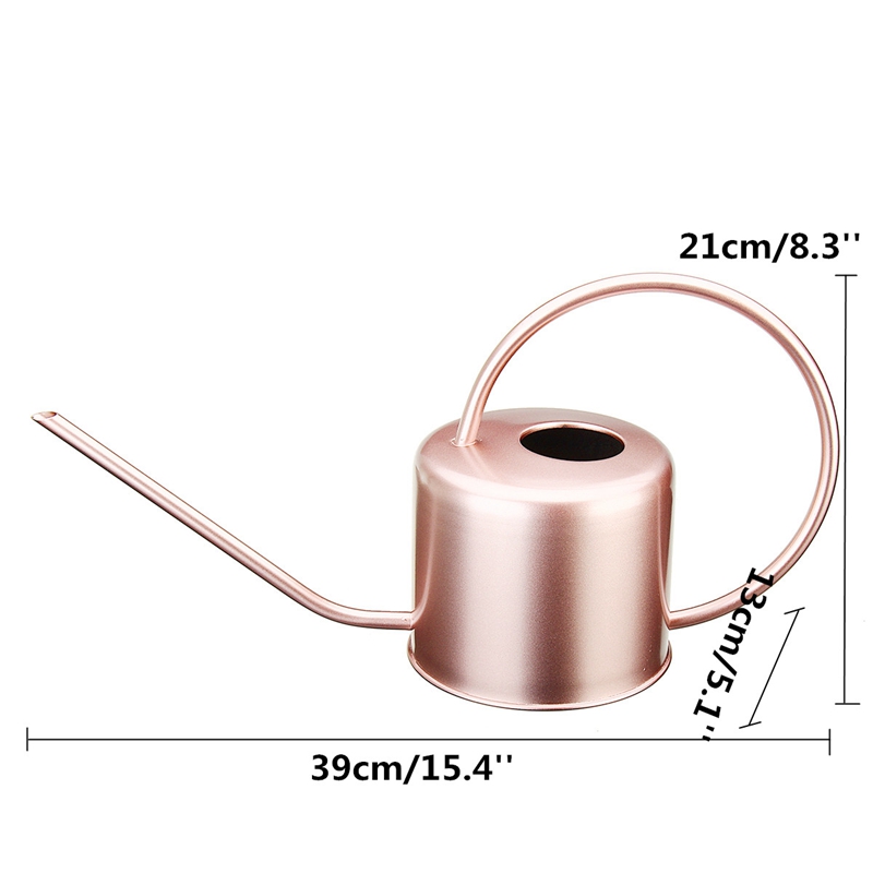 Indoor Watering Can Metal Water Can