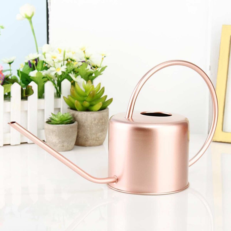 Indoor Watering Can Metal Water Can