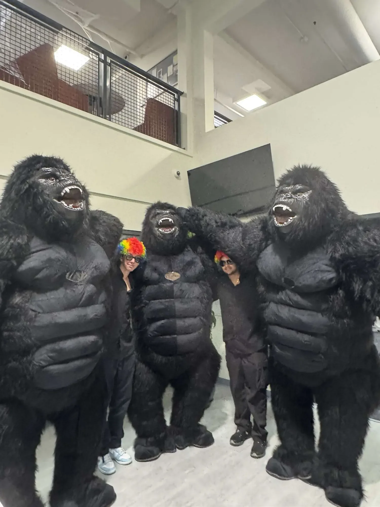 Inflatable 2M/2.6M/3M Big King Kong Gorilla Mascot Cosplay Costumes Party Advertising Plush Cartoon Doll Clothing Adult