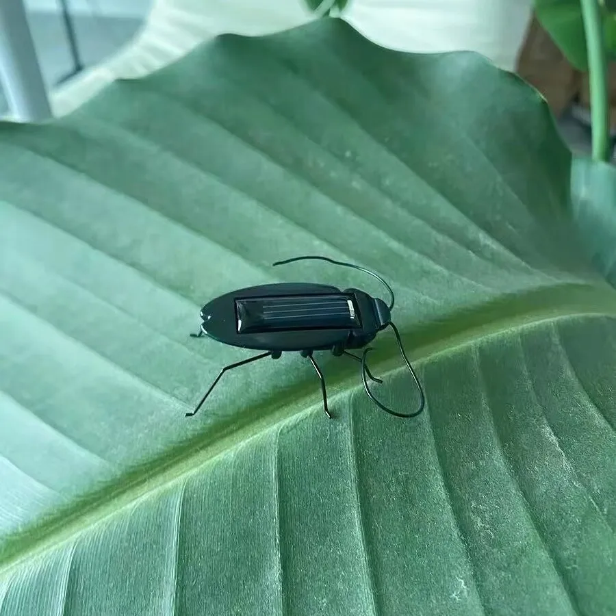 Innovative Quirky Solar Powered Science Cockroach Toy