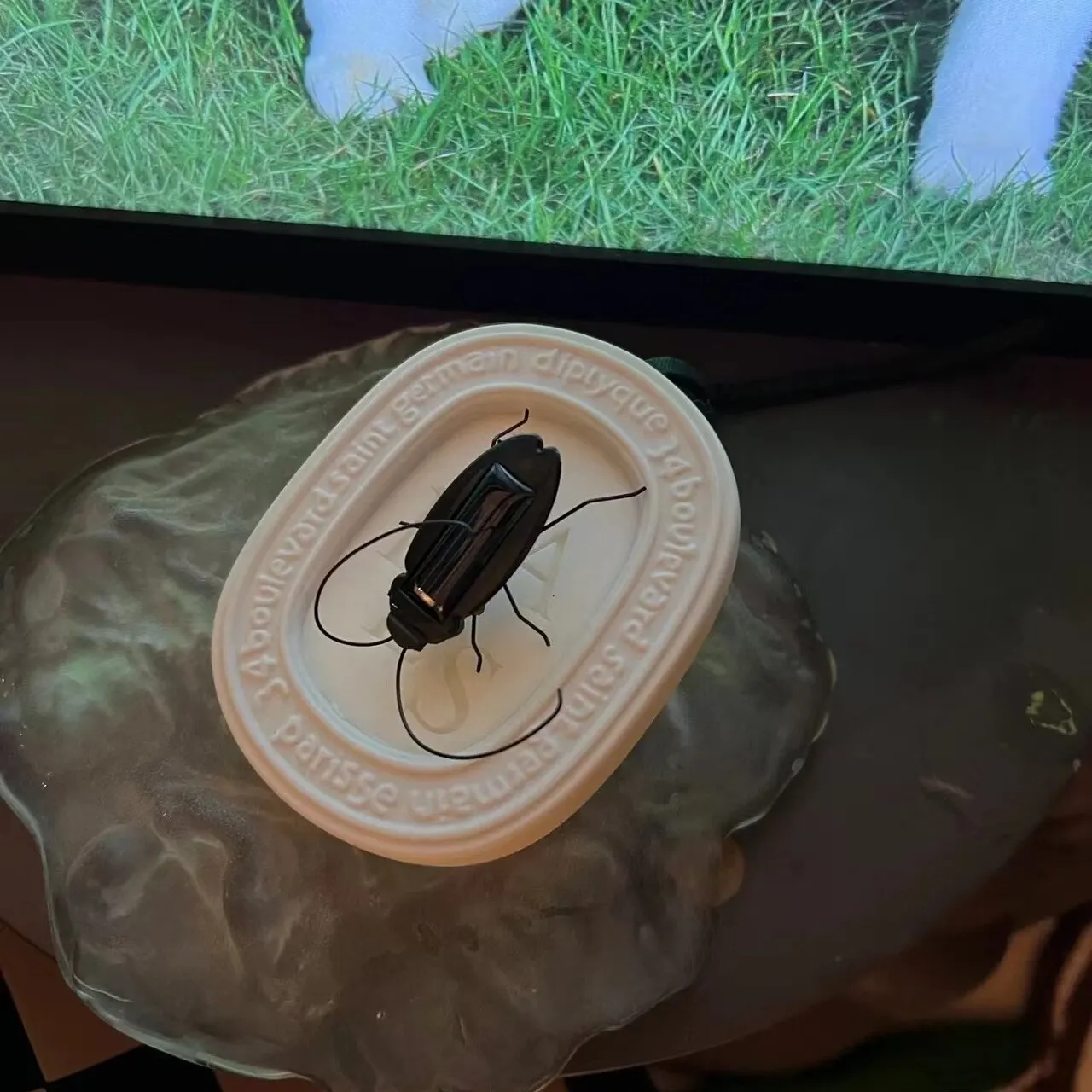 Innovative Quirky Solar Powered Science Cockroach Toy