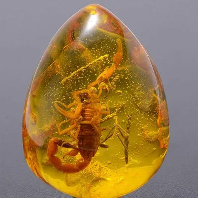 Insect Stone Natural Scorpions Inclusion Amber Baltic DIY Pendant Necklace Home Decorative Stone Insect Stone Natural Scorpions Inclusion Amber Baltic DIY Pendant Necklace Home Decorative Stone