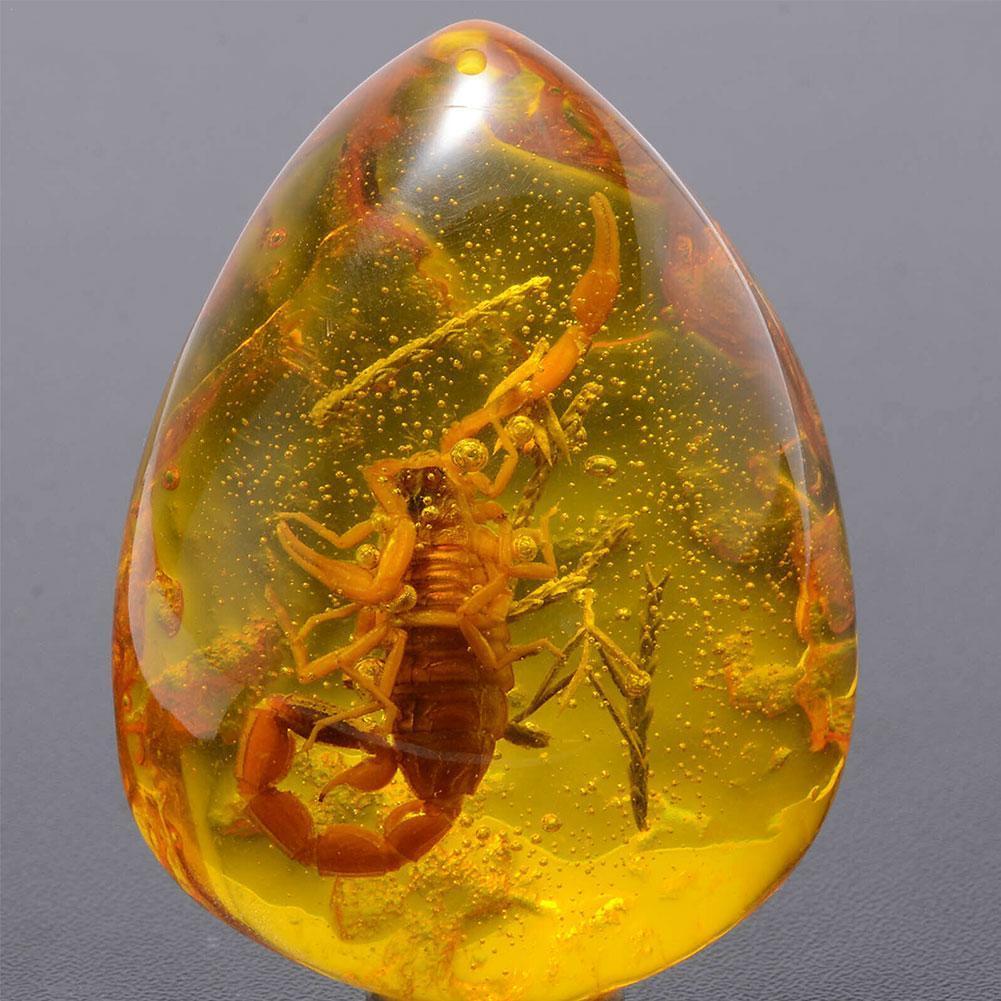 Insect Stone Natural Scorpions Inclusion Amber Baltic DIY Pendant Necklace Home Decorative Stone