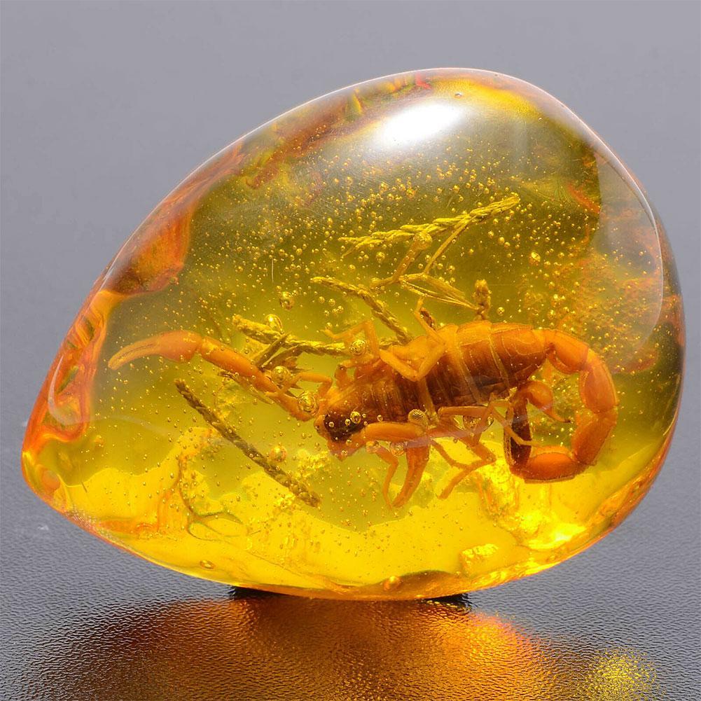 Insect Stone Natural Scorpions Inclusion Amber Baltic DIY Pendant Necklace Home Decorative Stone Insect Stone Natural Scorpions Inclusion Amber Baltic DIY Pendant Necklace Home Decorative Stone