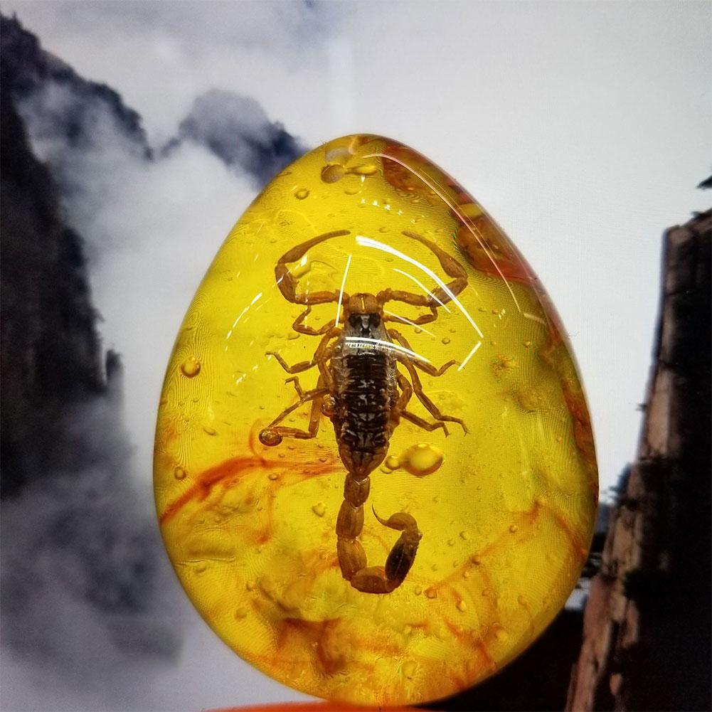 Insect Stone Natural Scorpions Inclusion Amber Baltic DIY Pendant Necklace Home Decorative Stone Insect Stone Natural Scorpions Inclusion Amber Baltic DIY Pendant Necklace Home Decorative Stone