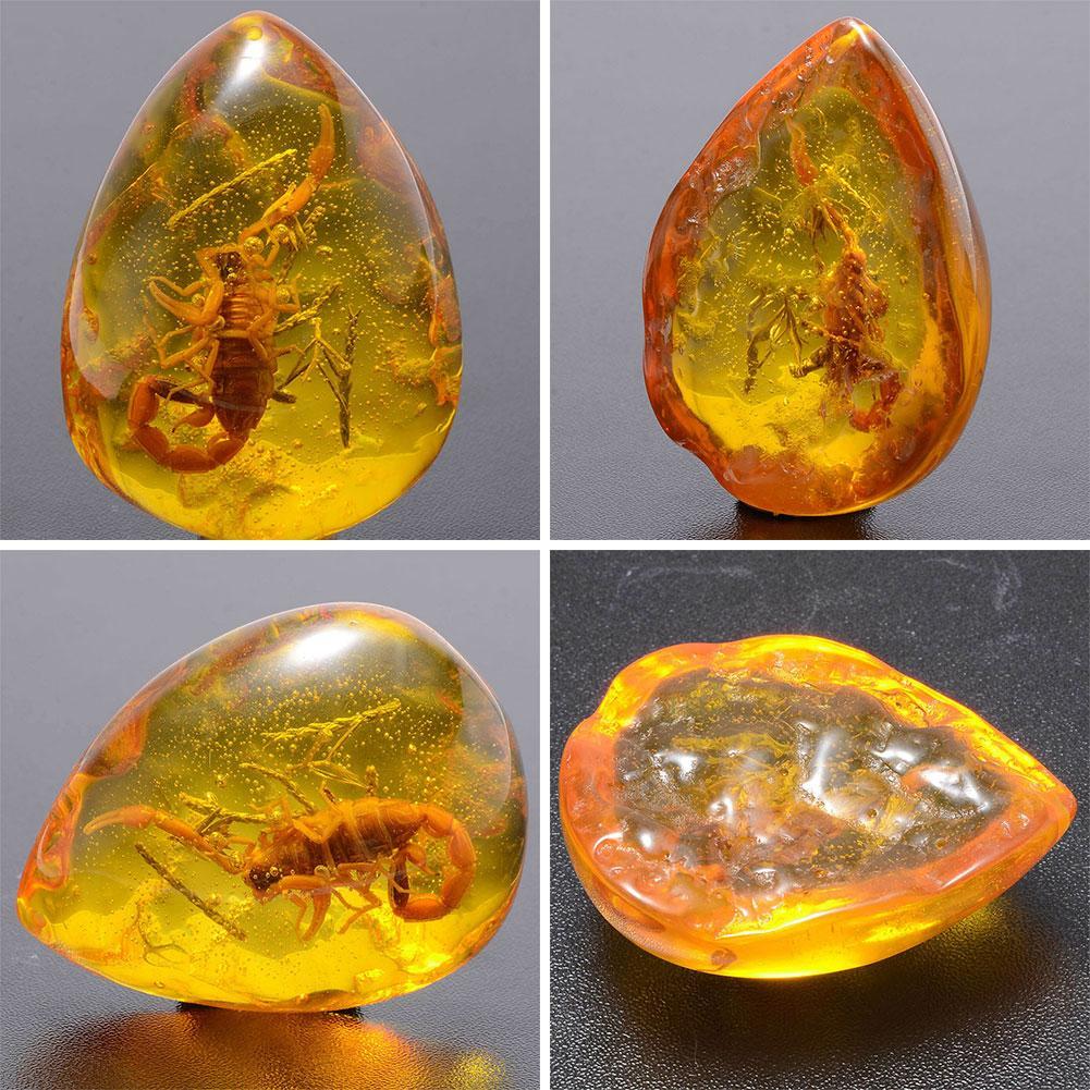 Insect Stone Natural Scorpions Inclusion Amber Baltic DIY Pendant Necklace Home Decorative Stone Insect Stone Natural Scorpions Inclusion Amber Baltic DIY Pendant Necklace Home Decorative Stone