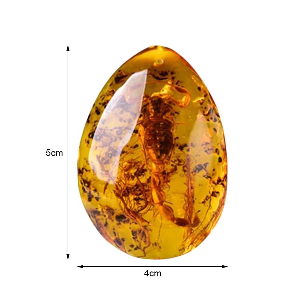 Insect Stone Natural Scorpions Inclusion Amber Baltic DIY Pendant Necklace Home Decorative Stone Insect Stone Natural Scorpions Inclusion Amber Baltic DIY Pendant Necklace Home Decorative Stone
