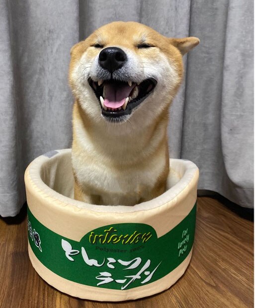 Instant Cup Noodle Dog Bed with Lid Instant Cup Noodle Dog Bed with Lid