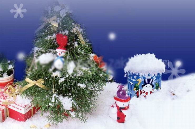 Instant Snow Powder Just Add Water Instant Snow Powder Just Add Water