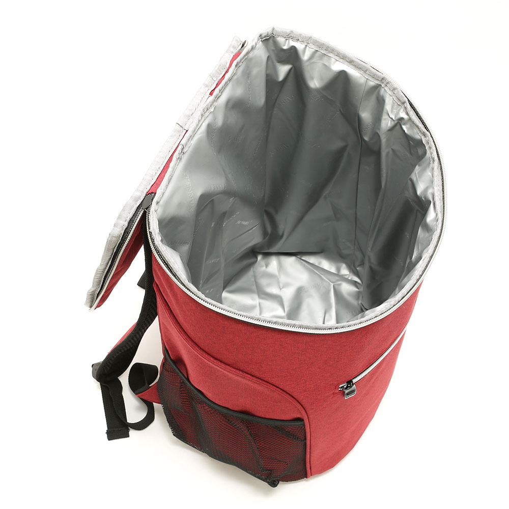 Insulated Backpack Cooler Thermal Bag