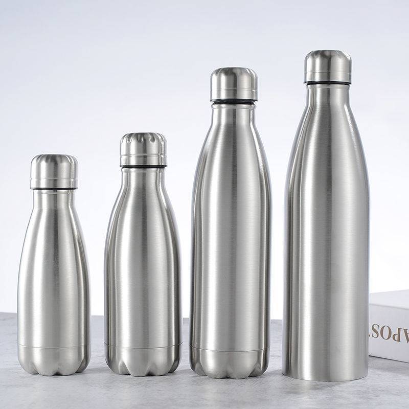 Insulated Stainless Steel Bottle