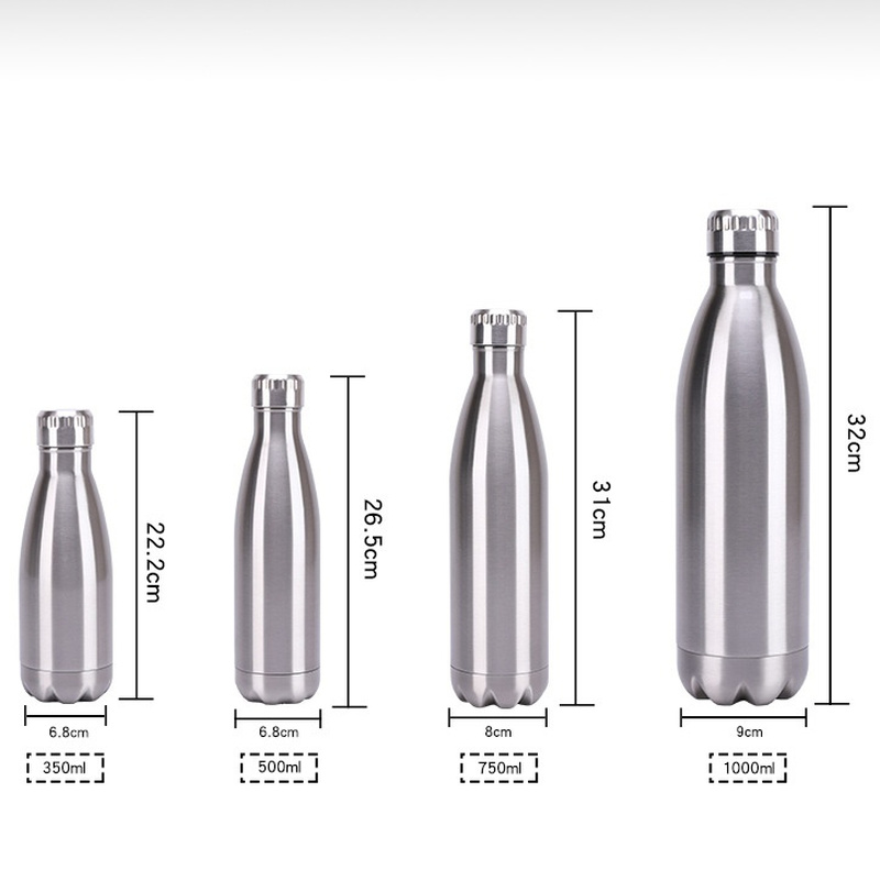 Insulated Stainless Steel Bottle