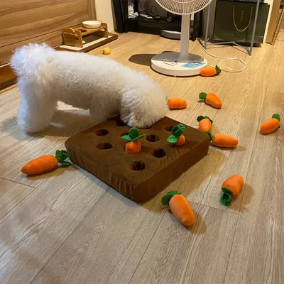 Interactive Carrot Patch Dog Toy