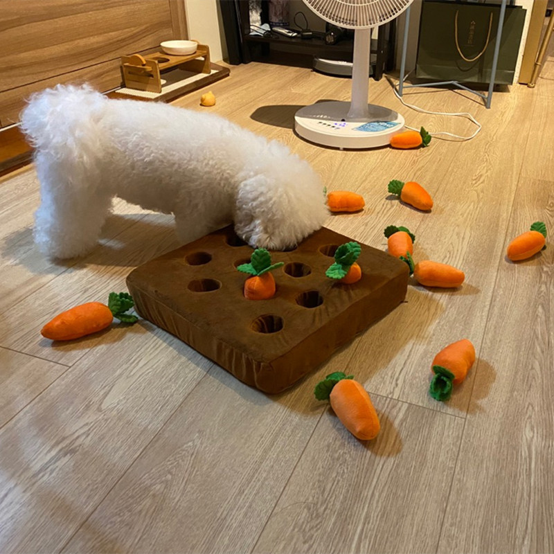 Interactive Carrot Patch Dog Toy