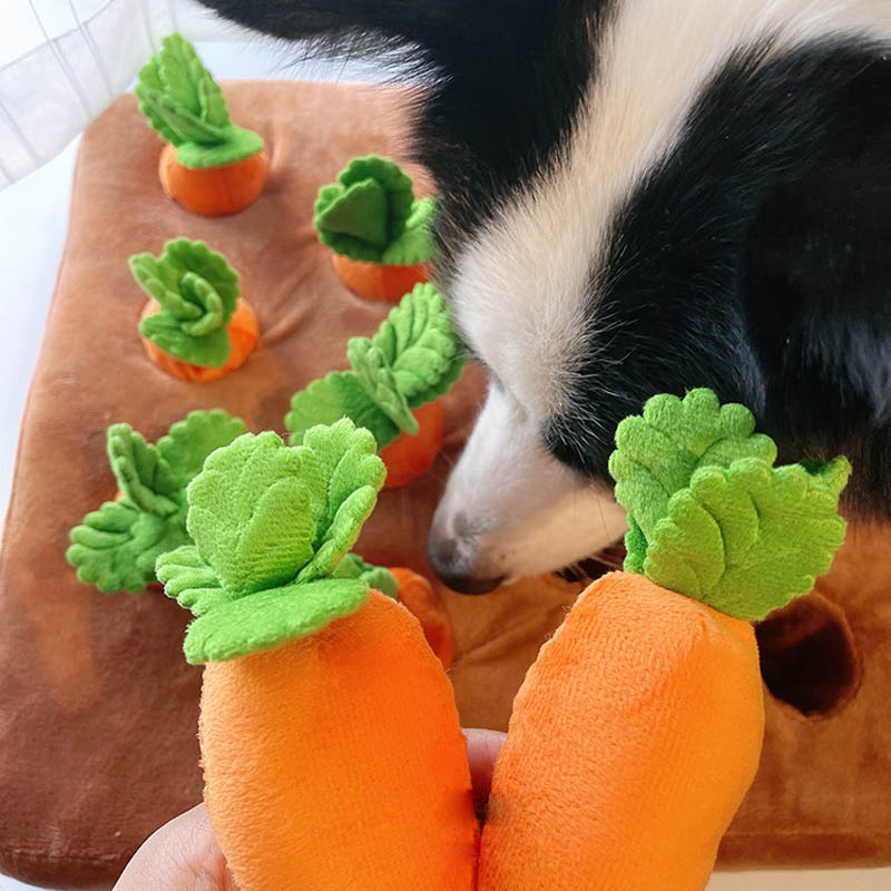 Interactive Carrot Patch Dog Toy