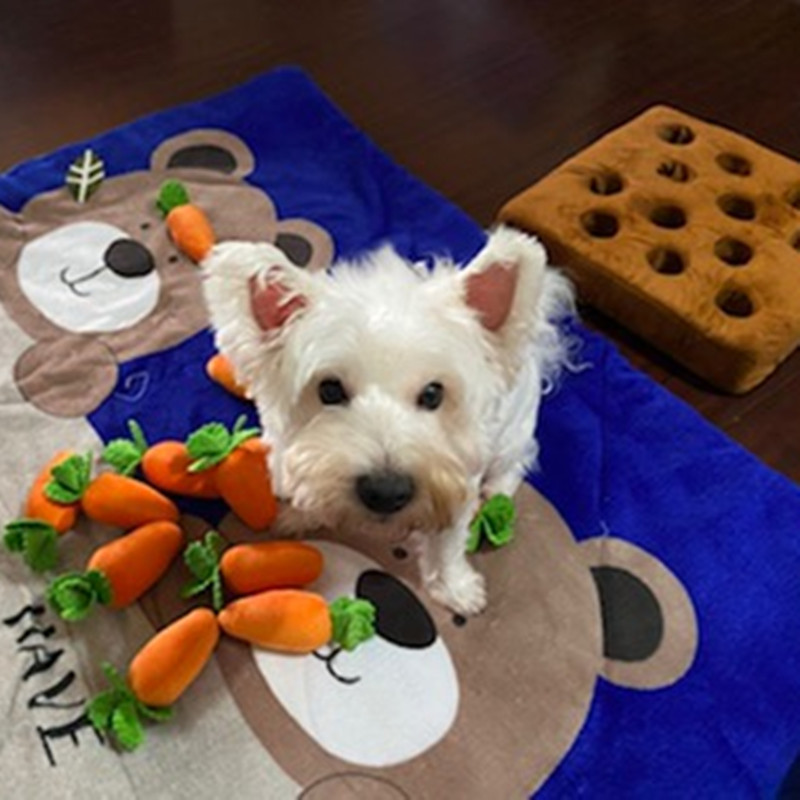 Interactive Carrot Patch Dog Toy