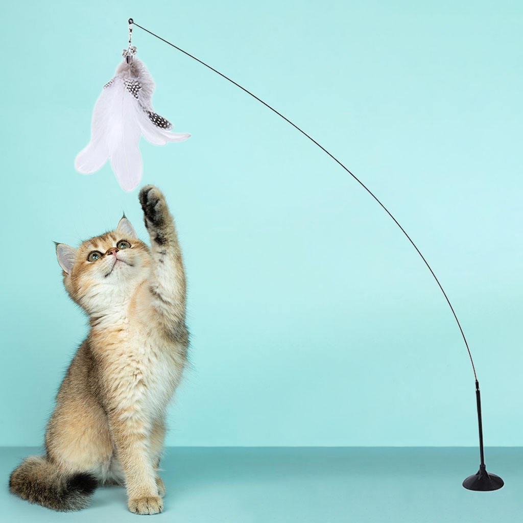 Interactive Cat Bird Toy