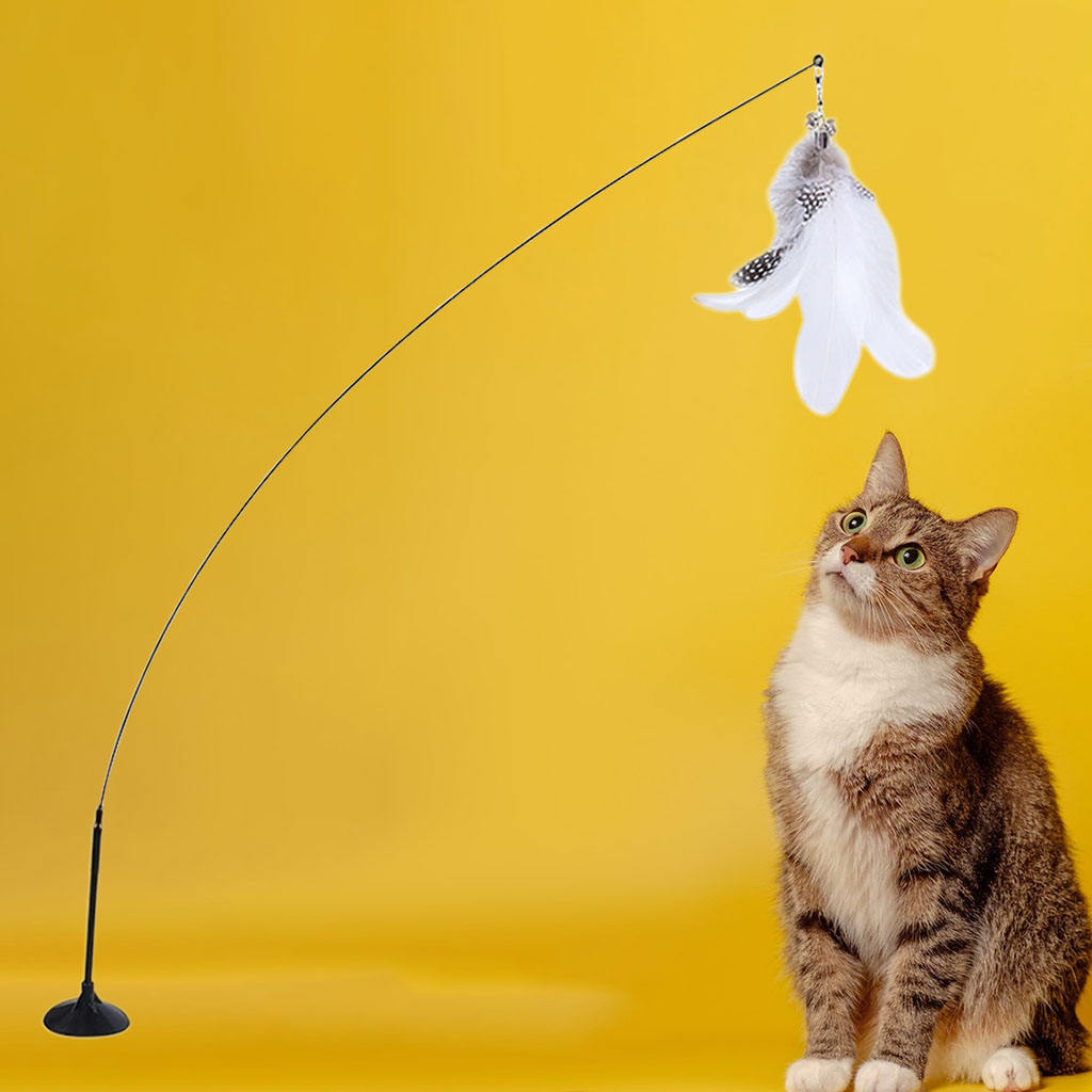 Interactive Cat Bird Toy